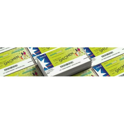 Chèques consommation Sodexo 300 euros